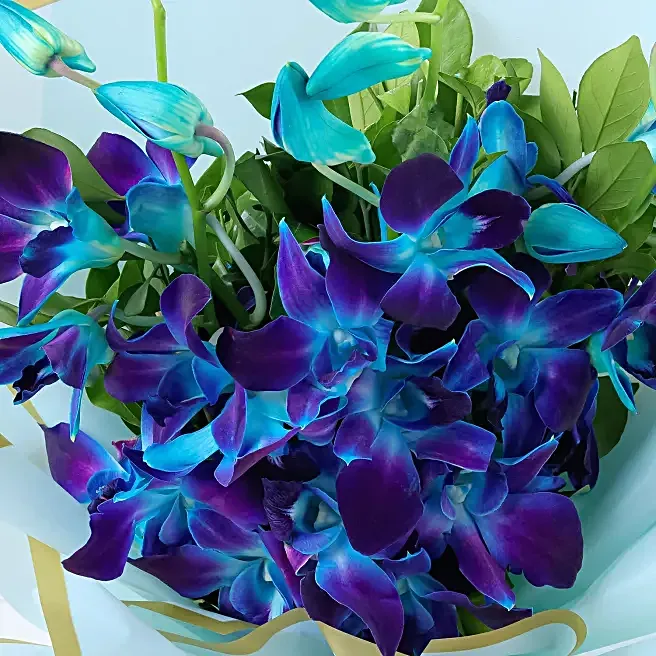 FNP Exotic Blue Orchid Arrangement image 2