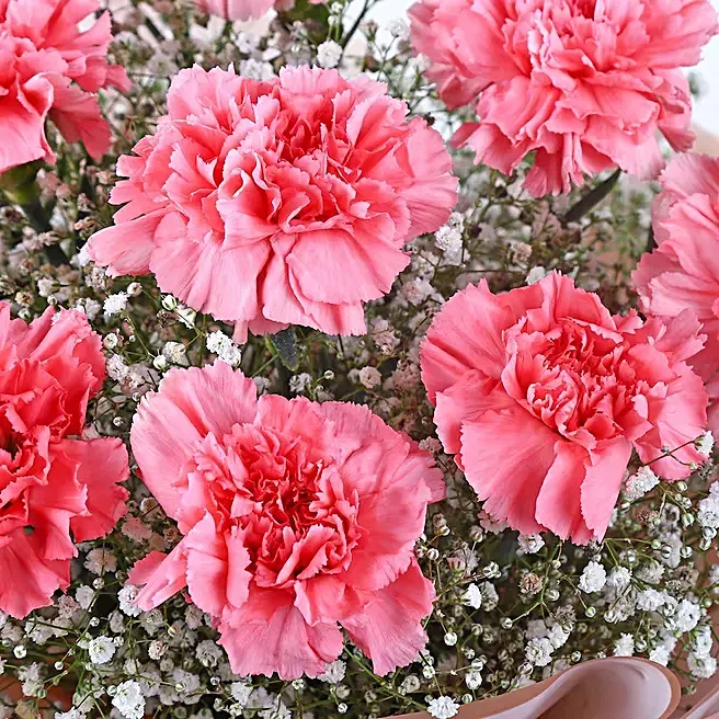 FNP Carnation Cascade of Love image 4