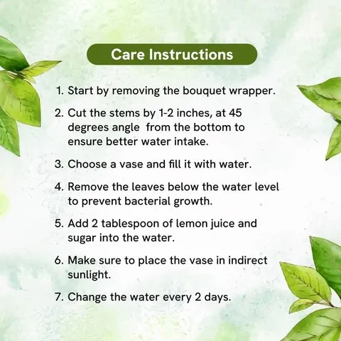 FNP Joyful Red Rose Single Flower image 1