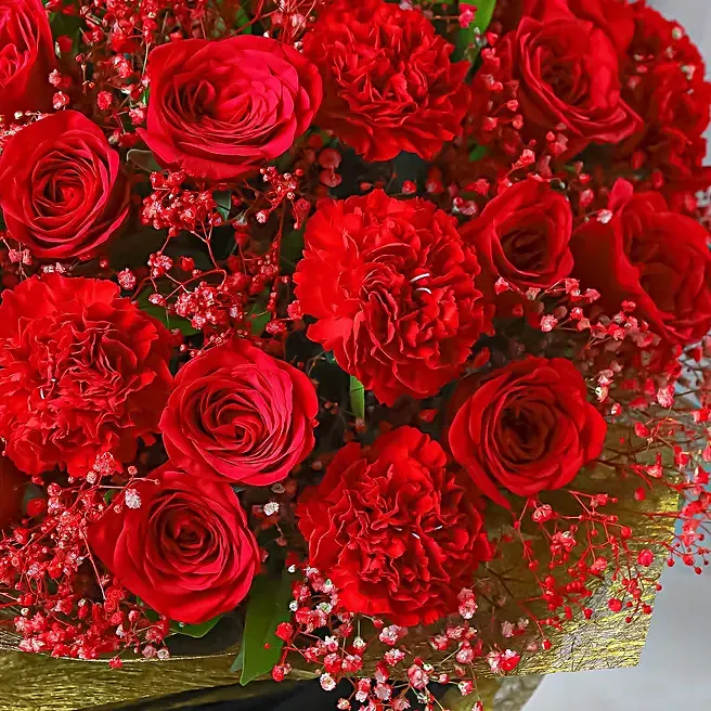 Scarlet Dreamscape image 3