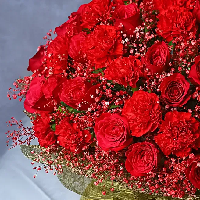 Scarlet Dreamscape image 4