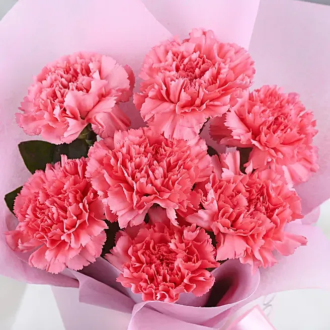 Blush Pink Carnation Bouquet image 2
