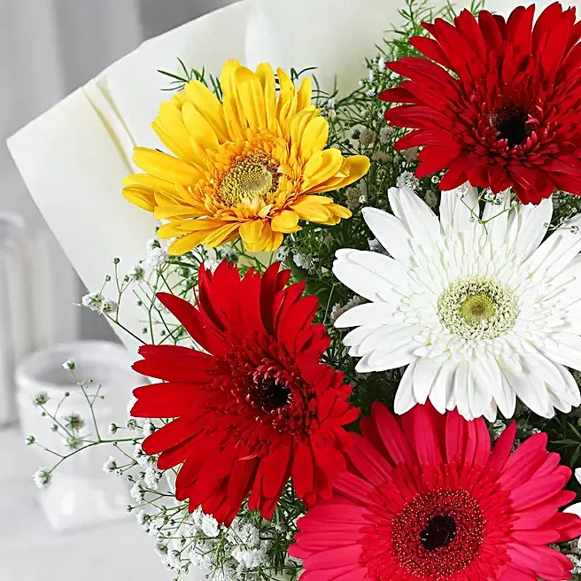 Mixed Brilliance Gerbera Flower Bouquet image 2