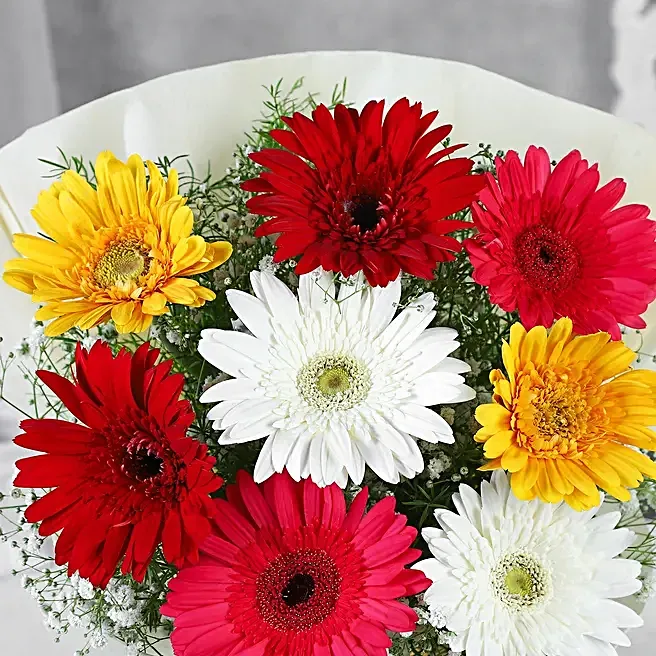 Mixed Brilliance Gerbera Flower Bouquet image 3