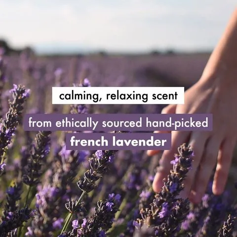 Love Beauty & Planet Argan Oil and Lavender Shampoo + Argan Oil & Lavender Hair Mask Combo image 4