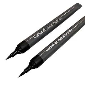 Camlin Artist Brush Medium Point Pen Set (Individual Black Color Pens - Set of 2 Pc.) from NOZOMI