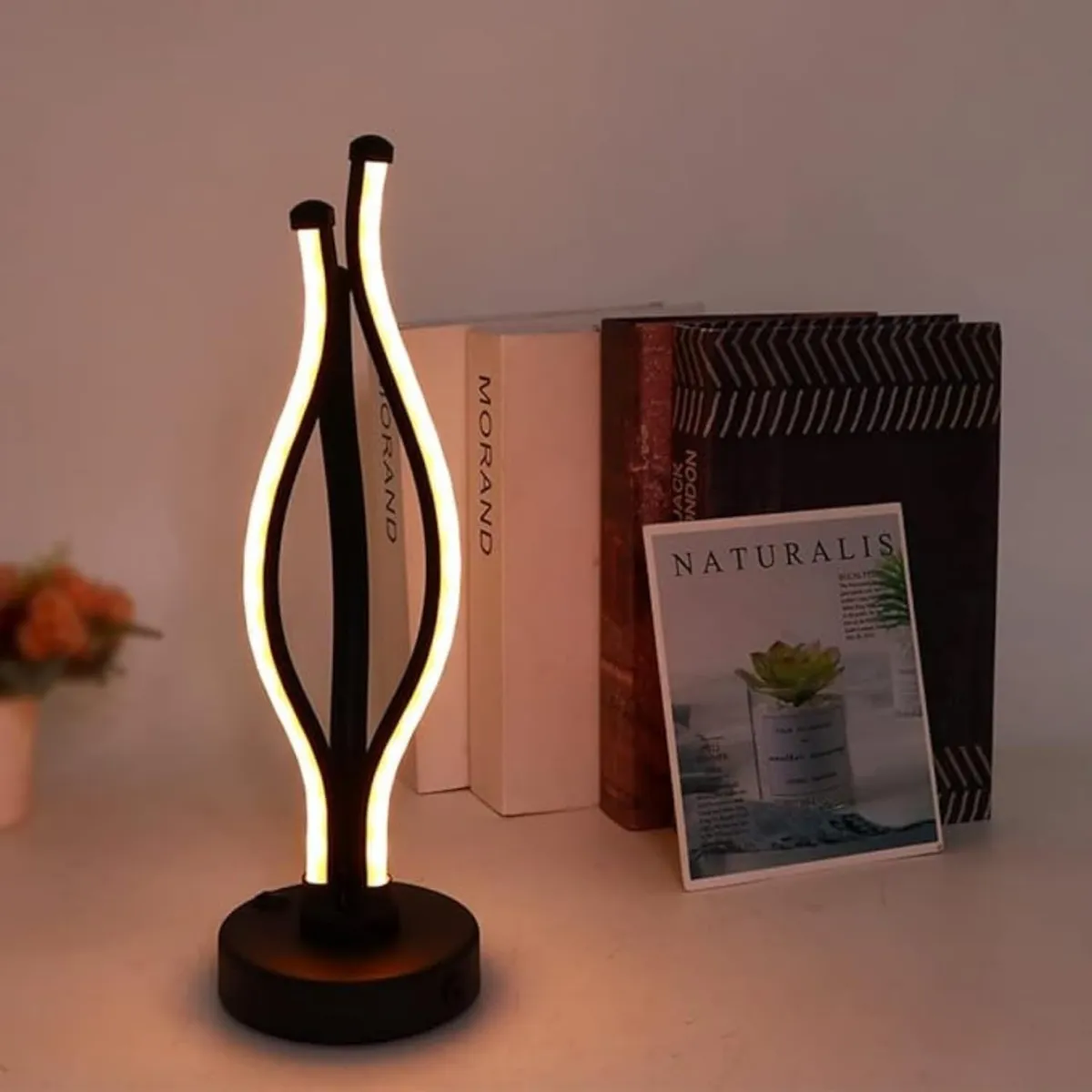 One94Store Abstract Vase LED Lamp with On/Off Button, 9 Dimmable Brightness Levels, 3 Color Modes (Warm White, Neutral White & Cool White), USB Powered Bedside Desk Lamp