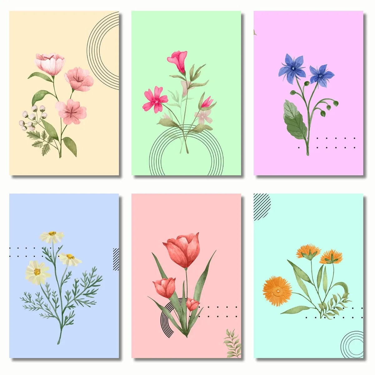 Greetsy Set of 12 Whispering Blooms Greeting Cards | Foldable Notecards Cards with Envelopes | Thank you, Appreciation, Gratitude, Birthday, Anniversary, Festive Wishes, Diwali, Christmas, New Year | 3 Inch x 4.25 Inch